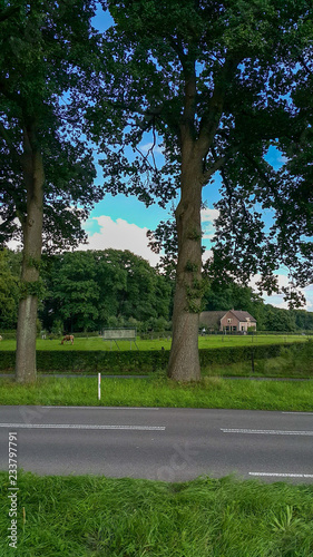 Oldenhove farm in The Netherlands, part of the Ter Horst castle estate photo