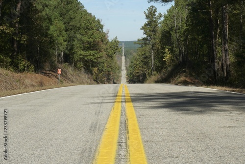 Deserted straight highway through fall trees in sun 1