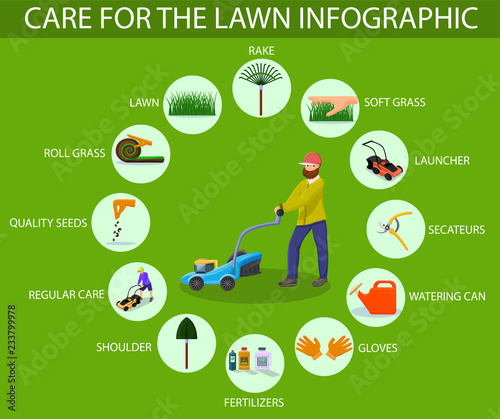 Care for Lawn Infographic. Vector Illustration.
