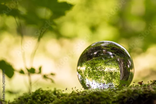 Obraz Szklana kula w zieleni