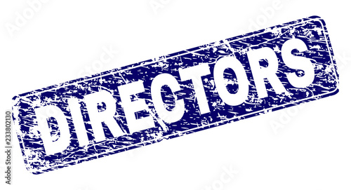 DIRECTORS stamp seal print with grunge style. Seal shape is a rounded rectangle with frame. Blue vector rubber print of DIRECTORS caption with grunge style.