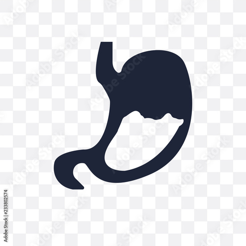 Human Abdomen transparent icon. Human Abdomen symbol design from Human Body Parts collection. Simple element vector illustration. Can be used in web and mobile.