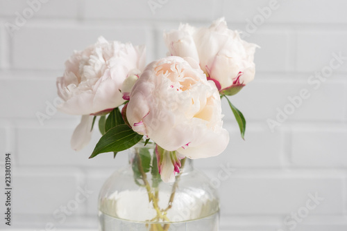 Fototapeta Naklejka Na Ścianę i Meble -  Closeup of pale pink peonies in glass vase against neutral wall (selective focus)