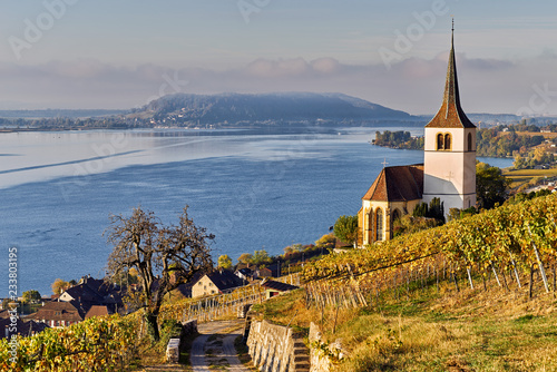 Ligerz am Bielersee 