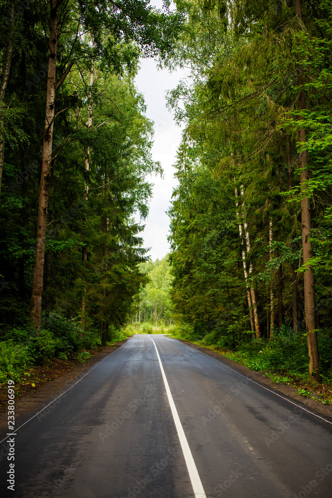 Obraz premium Photo of road from asphalt in forest