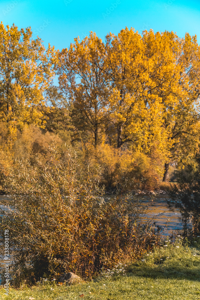 Fototapeta premium Beautiful autumn view at Plattling-Isar-Bavaria-Germany