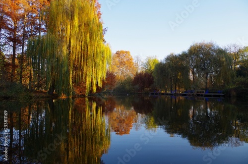 Herbstliche Bäume im See reflektiert