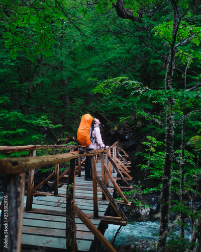 Fototapeta Naklejka Na Ścianę i Meble -  girl backpacking in a rainy forest
