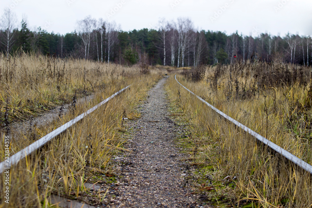 Obraz premium rails stretching into the distance