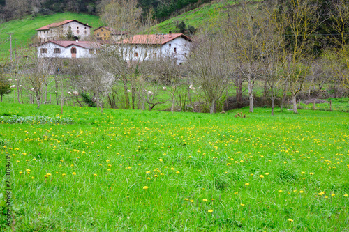 caserios atxondo photo