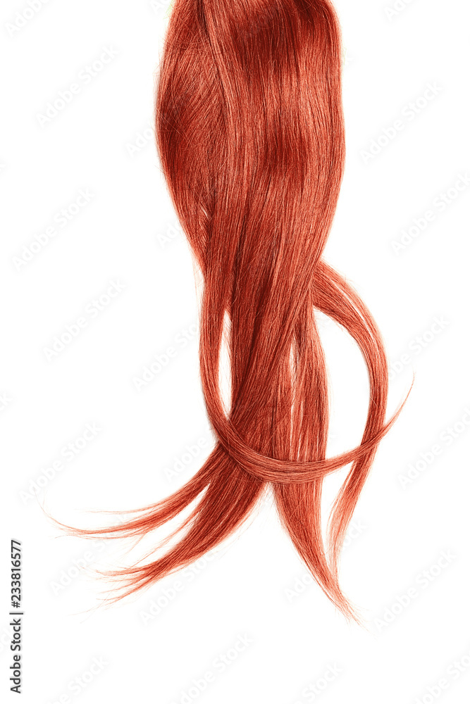 Red hair, isolated on white background. Long ponytail
