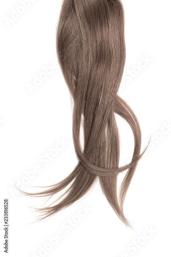 Brown hair, isolated on white background. Long ponytail