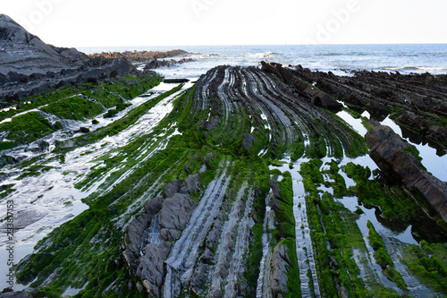 flysch zumaia_47