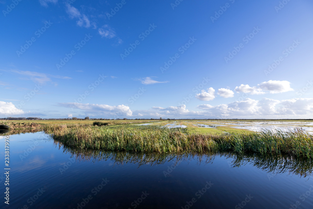 Dutch polder landscape in the province of Friesland