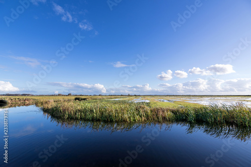 Dutch polder landscape in the province of Friesland photo