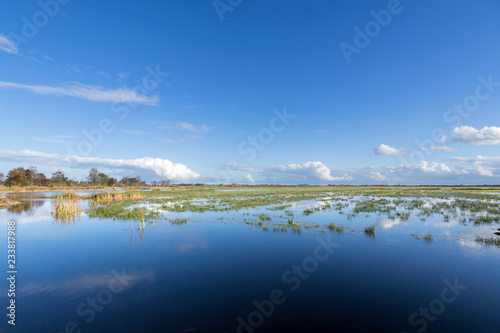 Canvas Print Dutch polder landscape in the province of Friesland