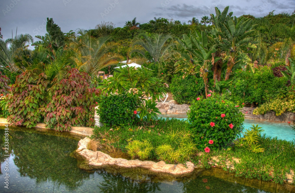 Obraz premium River in the park with palms, Tenerife, Canarian Islands