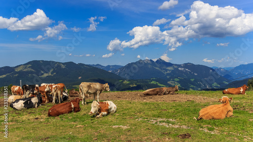 Beautiful alpine view near Koessen - Tyrol - Austria