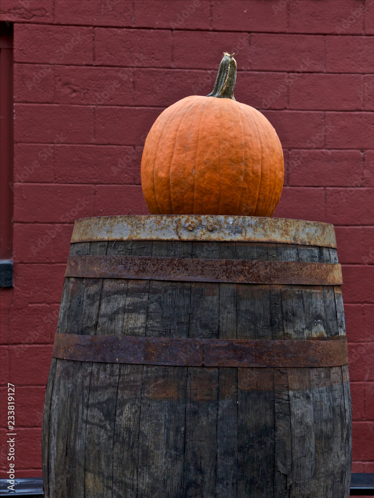Pumpkin on a barrel