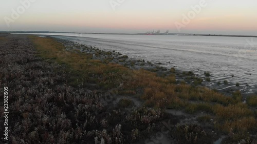 A low altitude shot of the marsland, bushes and mudflats of the Thames estuary at low tide with the DP World London Gateway Port in the background photo