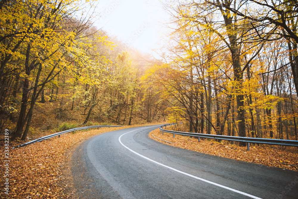 Obraz premium Krzywa drogowa w lesie jesienią