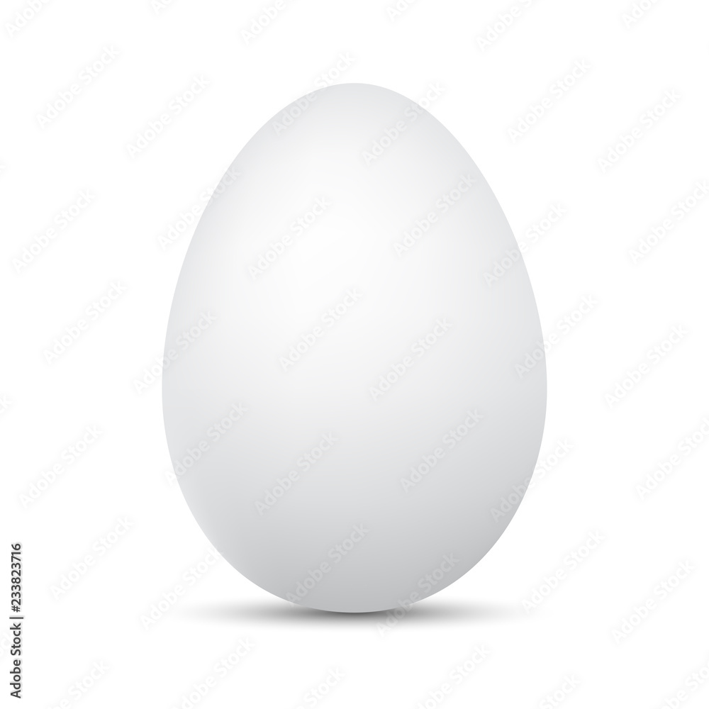 White Egg isolated. Vector illustration. White Egg isolated. Vector illustration.