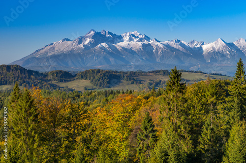 Morning panorama of snowy Tatra Mountains over colorful autumn forest, Poland