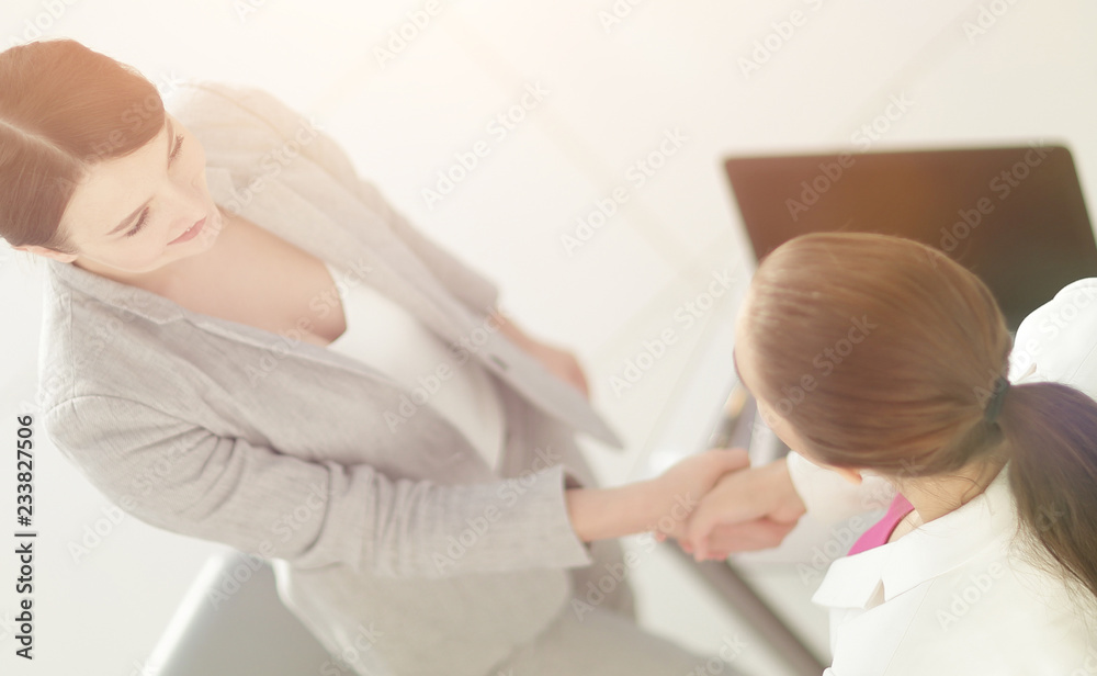 welcome and handshake business partners