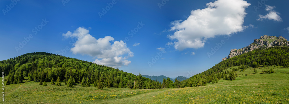 The trees in top of Little Rozsutec hill in sunny day, Slovakia. Europe.