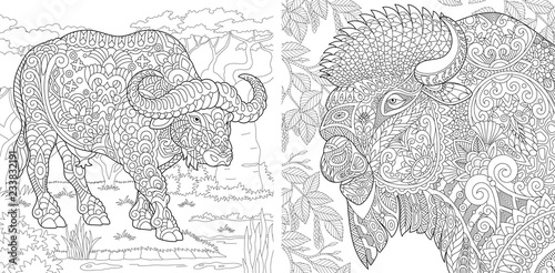 Coloring pages with buffalo and bison
