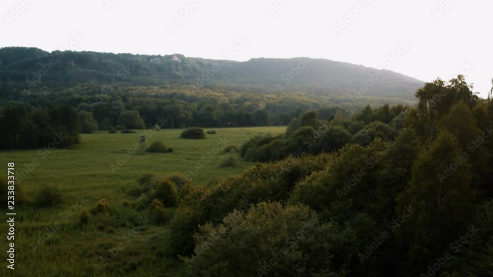 Foreground focus landscape, ideal for titles and text overlays Foreground focus landscape, ideal for titles and text overlays