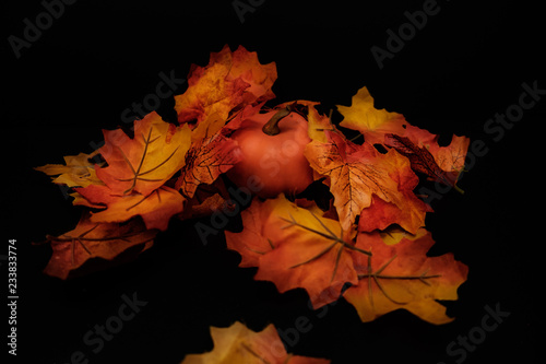 Thanksgiving and autumn leaves and punpkins with scare crow photo