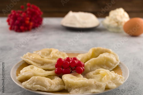 A portion of boiled dumplings on a round plate with red berries of viburnum, ingredients for the preparation of dough products with filling.