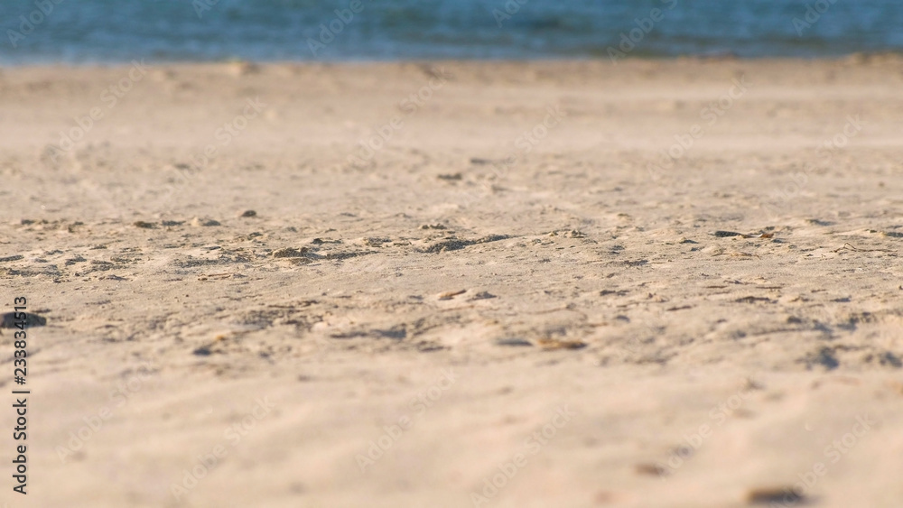 Sandstorm and strong wind on the sea beach. Sandstorm and strong wind on the sea beach.