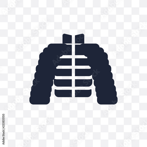 puffer jacket transparent icon. puffer jacket symbol design from Clothes collection.