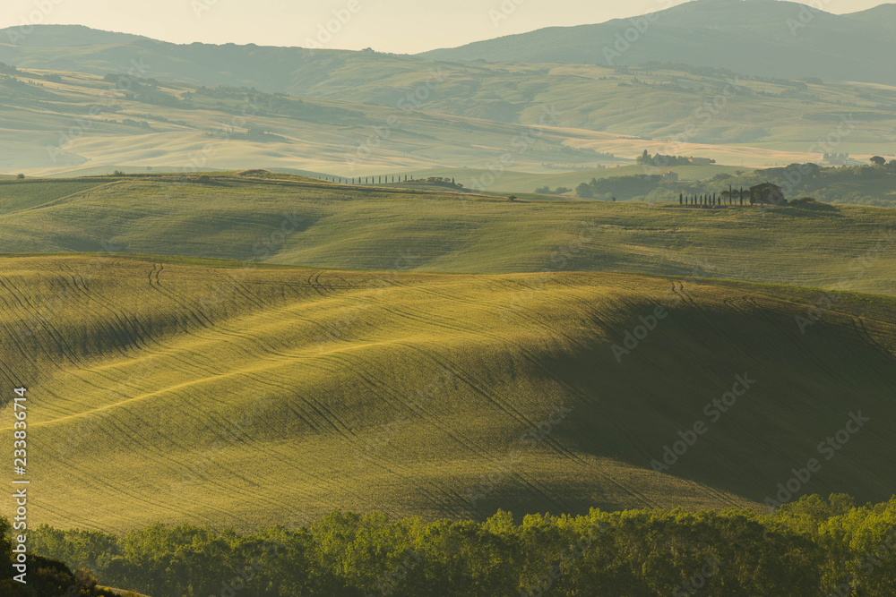 The lovely iconic landscapes of Tuscany in the morning sun