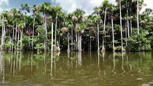 Lake tambopata in peruvian amazon photo