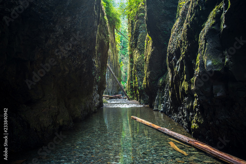 Oneonta Gorge in Oregon