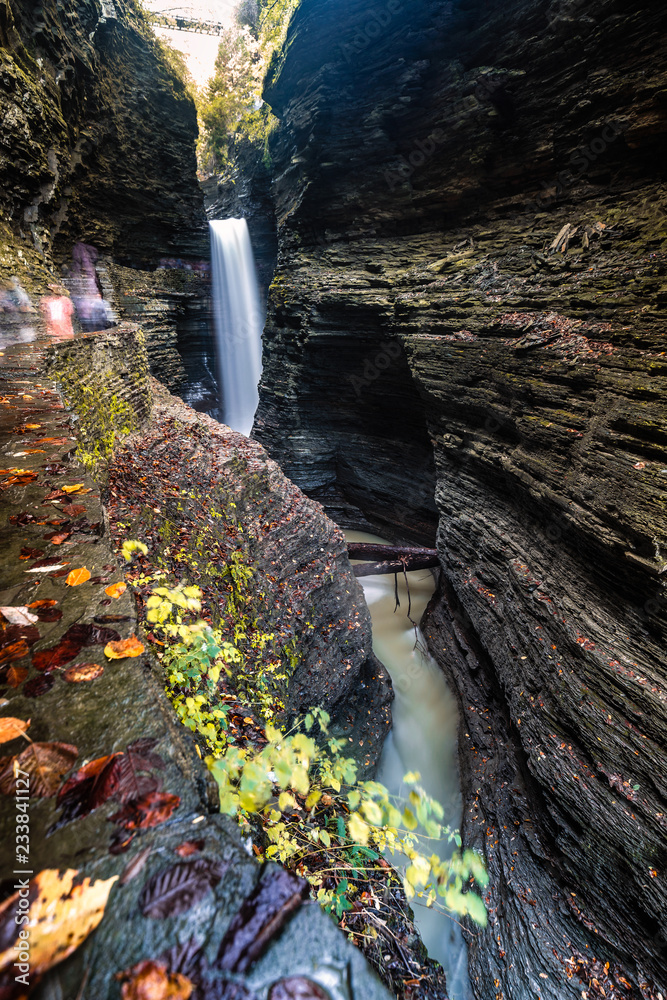 Fototapeta premium Watkins Glen Gorge Trail