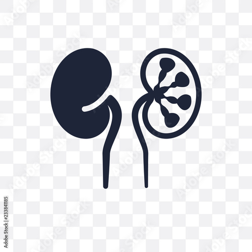 Iron-deficiency anemia transparent icon. Iron-deficiency anemia symbol design from Diseases collection.