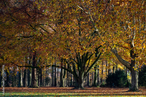 Schloßpark Ahaus, Herbst © AnnaReinert