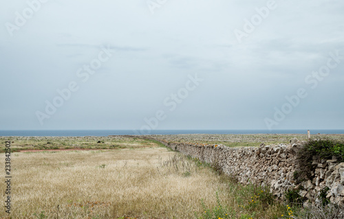 Typical stone wall of the island of menorca  with the meadow and the mediterranean sea in the background.