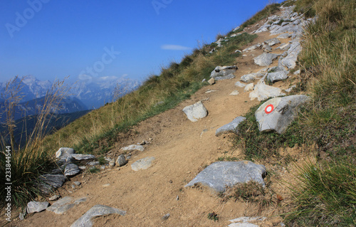 Alpine track with trail blaze