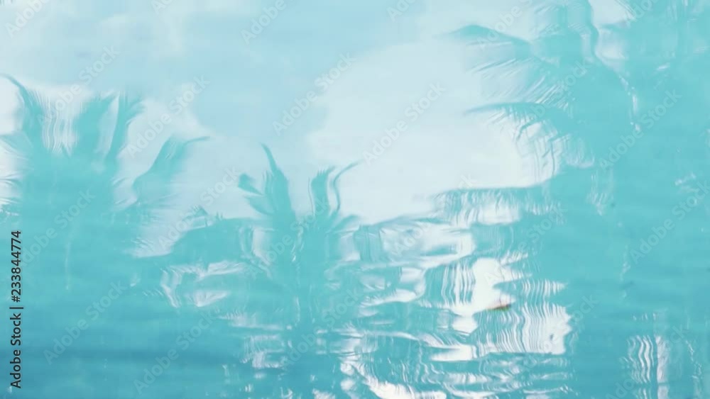 Cinematic footage. Abstract background video. Reflection of the palm trees at the swimming pool.