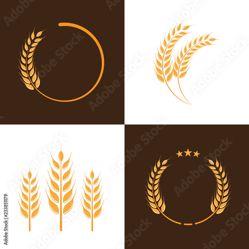 Agriculture Wheat Logo template vector