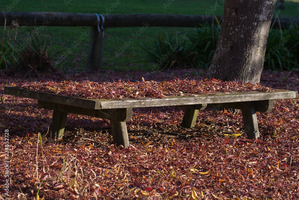 Autumn seat, red autumn leaves surround a wooden bench seat in the park Autumn seat, red autumn leaves surround a wooden bench seat in the park