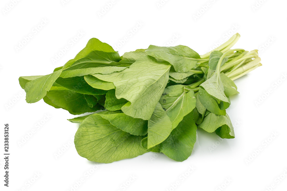Choy Sum or Chinese Cabbage isolated on white background Choy Sum or Chinese Cabbage isolated on white background