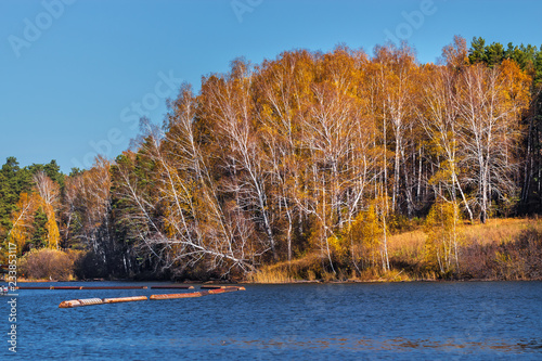 Autumn landscape. Western Siberia