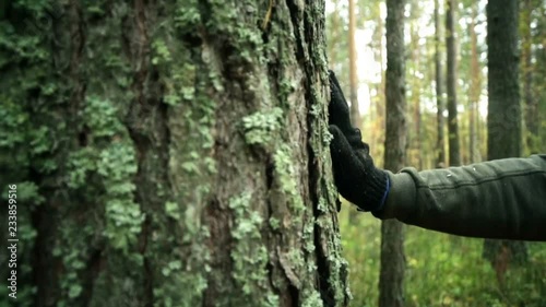 Man puts his hand on the tree