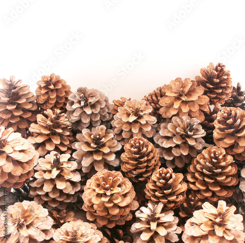 Fir coniferous and pine cones tree fruit background